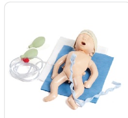 Manikin