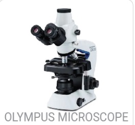 Olympus Microscope